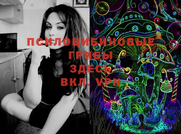 прущие крисы Заводоуковск