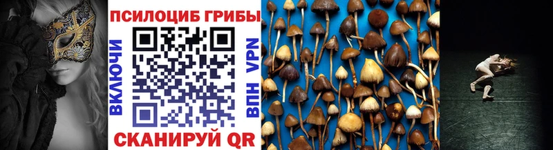 мориарти телеграм  что такое   Дербент  Галлюциногенные грибы MAGIC MUSHROOMS 
